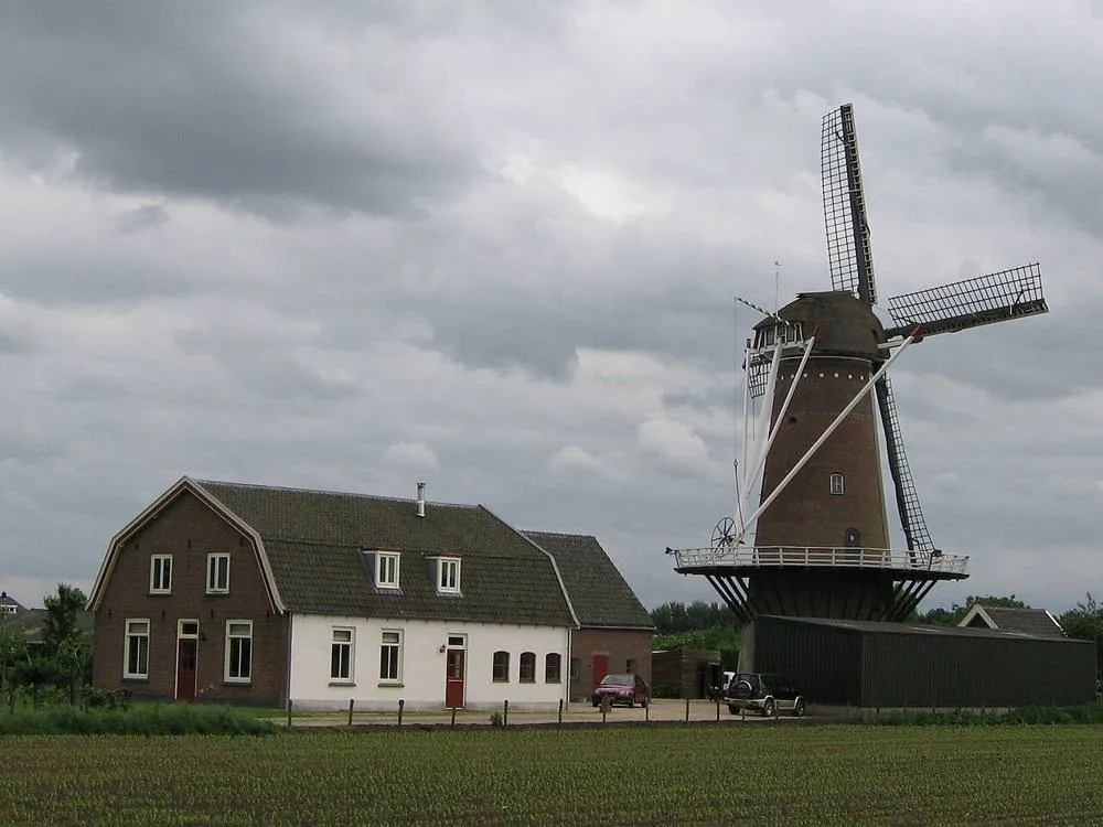 Werkhoven: WerrekhoveMoleBoederijtsie