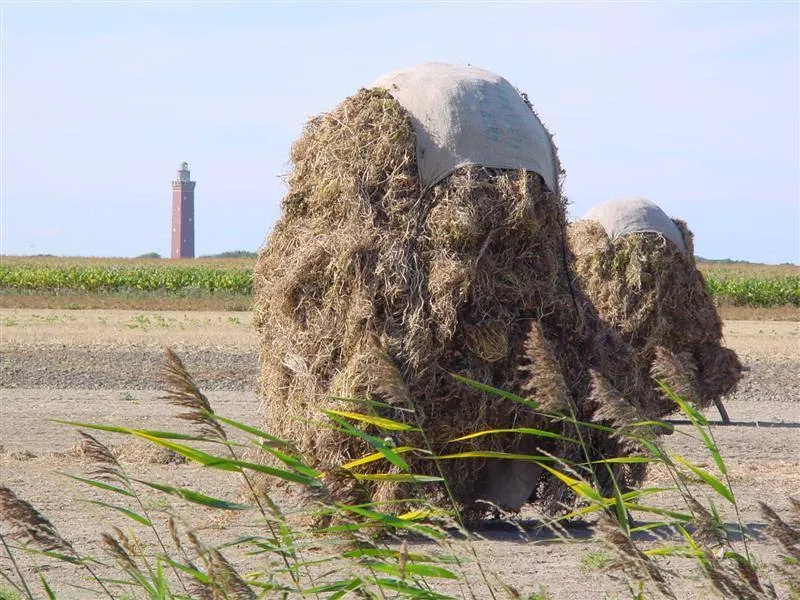 Ouddorp: Landschap ouddorp